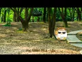 Mrs. GREEN APPLE 플레이리스트