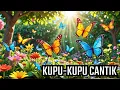 Download Lagu Kupu-Kupu Lucu - Lagu Anak Indonesia Ceria - Happy Song For Kids