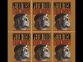 Jah Guide (Dub Plate) - Peter Tosh
