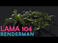Lama 104 - Shading ferns