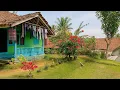 Download Lagu Hidup Tenang di Desa‼️Tinggal Di Rumah Campernik Dihiasi Bunga Indah