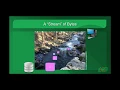 Java Reading Text Files