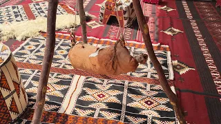 Saudi Culture 