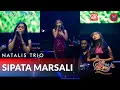 Download Lagu Natalis Trio - Sipata Marsali (Official Live Music)