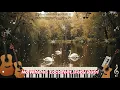 No Where - Loco feat. Feby Putri (Pop Remix Cover 2025) | Versi Baru Bikin Baper & Chill