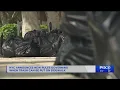 NYC proposal would change times for when trash can be put on curb