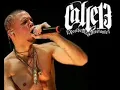 calle 13 beso de desayuno