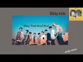 Download Lagu Stray Kids - Story That Won't End