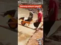 Download Lagu tidurlah yang lelap kawanku..
