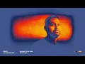 Fritz Kalkbrenner - Facing The Sun (Revive - Extended Mix) (Official Audio)