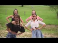 Dire Straits   Walk Of Life  dance  Video