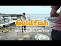 Goldfish line dance choreographed by Debi Pancoast & Kerry Maus 