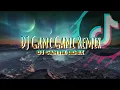 Lagu DJ Gani Gani Slow Tik Tok Remix - DJ Cantik Remix