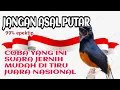 Download Lagu masteran murai batu rampes juara nasional