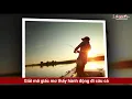 Dreaming About Fish Is A Good Or Bad Omen? Money Fills The Safe Or Bad Luck Is Hard To Avoid - Dr...