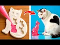 Gadget dan Trik untuk Hewan Peliharaan! Riasan Anak Kucing Tunawisma!