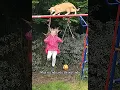 Download Lagu A MENINA NÃO DEIXOU O GATO PASSAR E ELE DERRUBOU ELA KKKK #shorts