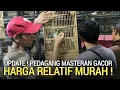 Lagu BARU DIREVIEW ! KIOS FULL BURUNG ANAKAN MASTERAN MURAH PASAR BURUNG PRAMUKA HARI INI 