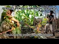 Download Lagu Pembuatan pondok tertunda karena persiapan acara di rumah bang peri warta petani muda hidup di hutan