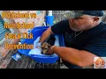 The Best Of Both Worlds Old School Vs New School Flea Tick Treatment