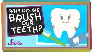 why do we brush our teeth health for kids scishow kids