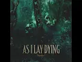 Burden - As I Lay Dying