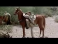 Bad Jim Western Movie 1990 James