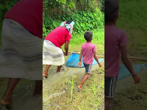 Fishing video - MR Fishing Life  #mrfishinglife #fishingvideos