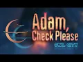 Download Lagu Owl City - Adam, Check Please [Open The Studio Door Version]