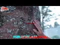INDAH DEWI PERTIWI - SYAIR CINTA (MV)