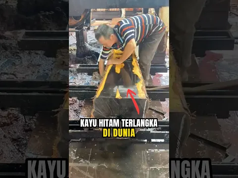 Kayu Berwarna Hitam Paling Langka
