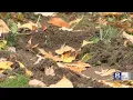 One teen dead 5 others injured after Webster car crash