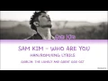 Sam Kim 샘김 - Who Are You (Goblin OST) (HAN|ROM|ENG) Lyrics