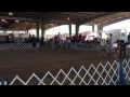Navasota - Brazos Valley Kennel Club