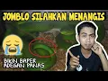 ULAR KAWIN || Trimeresurus Albolabris | ColubridWorld