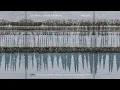 Download Lagu The Rural Alberta Advantage - CANDU [Official Audio]