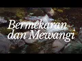 Lagu Pendarra - Bermekaran dan Mewangi feat Dere (Official Lyric Video)