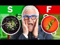 Dr Gundry s Soup Tier List Which Soups Are Best for Gut Health Nutrition