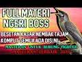 Download Lagu BESETAN KASAR FULL TEMBAKAN TAJAM || MASTERAN BURUNG KASAR SUARA JERNIH FULL MATERI ‎@Baonk