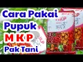 Lagu Cara Pemakaian Pupuk MKP Pak Tani untuk Segala Jenis Tanaman
