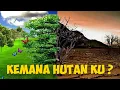 Lagu KEMANA HUTAN KU || ORIGINAL SONG || LAGU CIPTAAN SENDIRI
