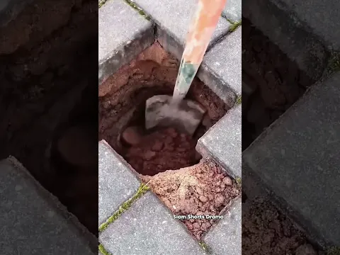 #dios