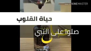 أفضل النغمات الاسلامية        نغمة رنين   يارب صلي على النبي وآله   أجمل نغمات رنين الهاتف   جودة    دندنها