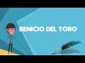 What is Benicio del Toro Explain Benicio del Toro Define Benicio del Toro