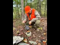 SKUNKED in Cohutta WMA Georgia Bear Hunt Tons of Sign No Sightings