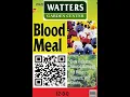 Blood Meal