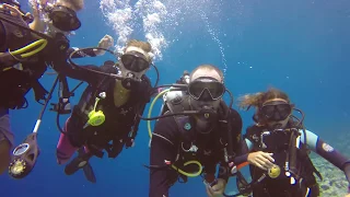 Wakatobi DIVING & local Food Episode 72 (Sailing Catalpa)