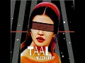 Taal (Vizen Flip) - VIZEN