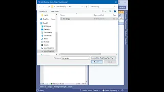 How To Add Images To The Project On Visual Studio 2022 ThinhPham