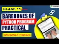 Class 11 Informatics Practices Chapter 3 Barebones of Python Program Practical